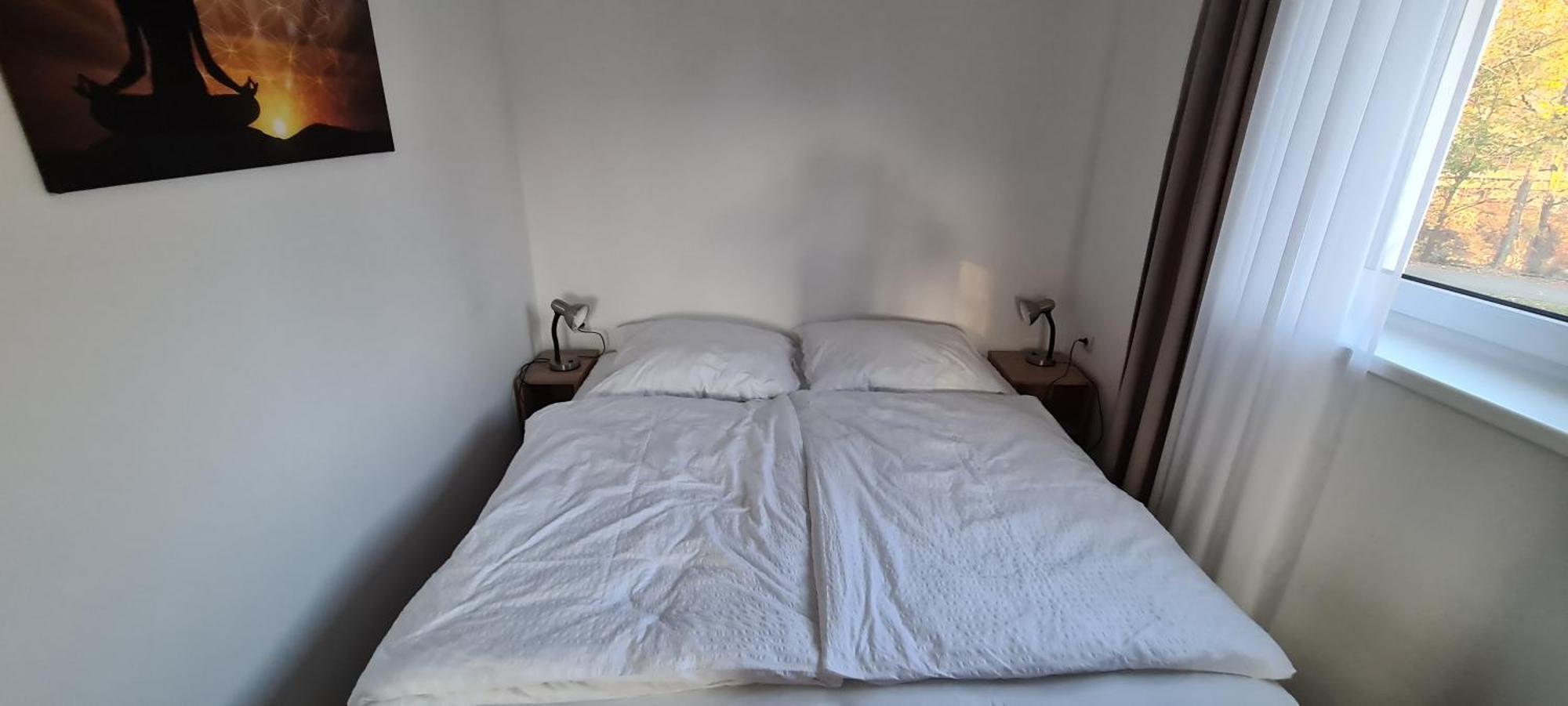Apartman U Toma Frýdlant nad Ostravicí Екстериор снимка